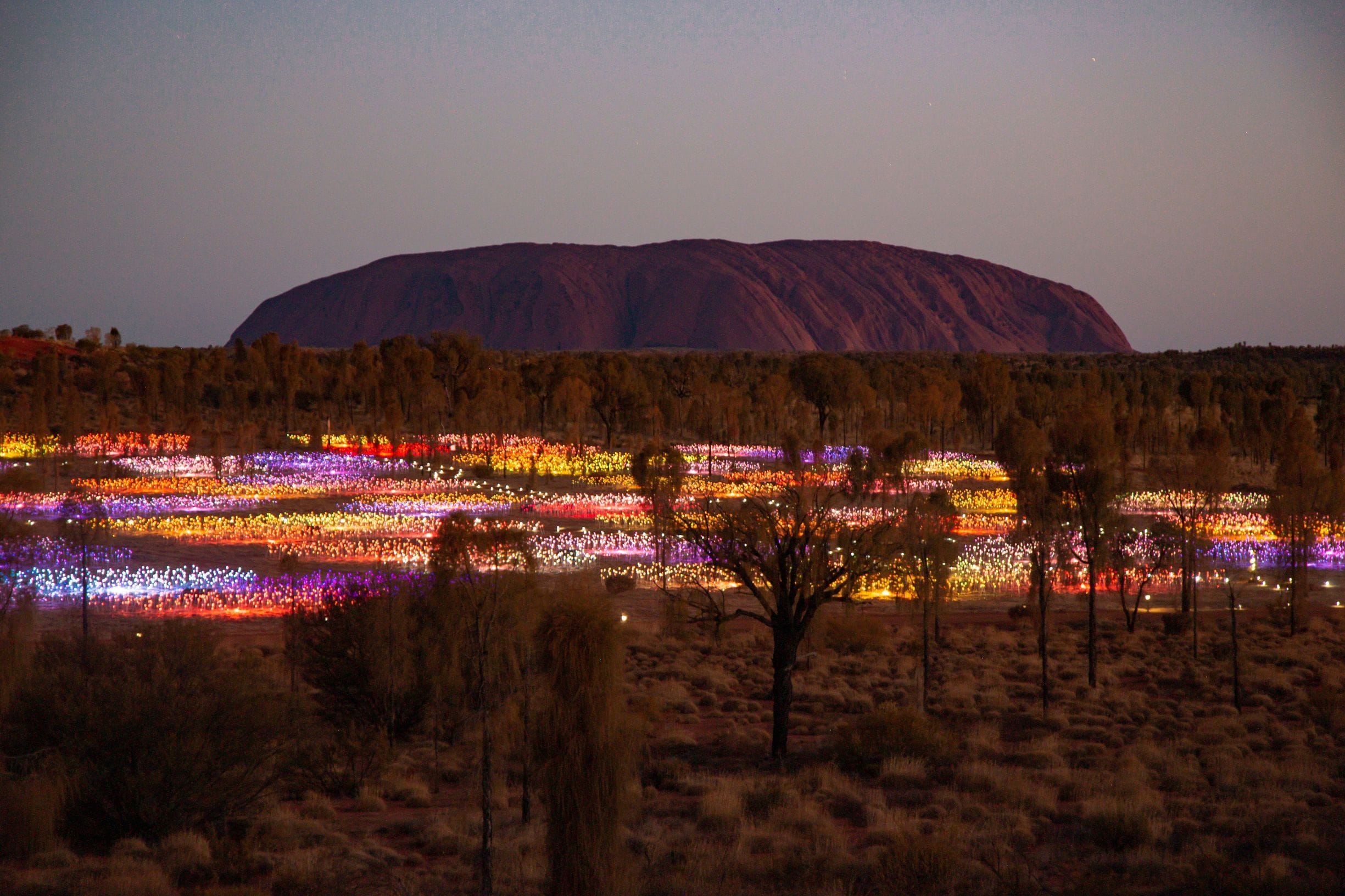 Colorful field of lights at dusk with Uluru in the background, set among sparse trees and desert landscape.